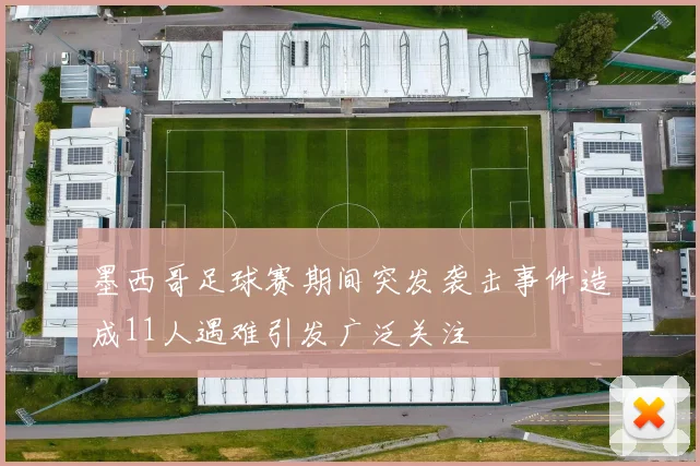 墨西哥足球赛期间突发袭击事件造成11人遇难引发广泛关注