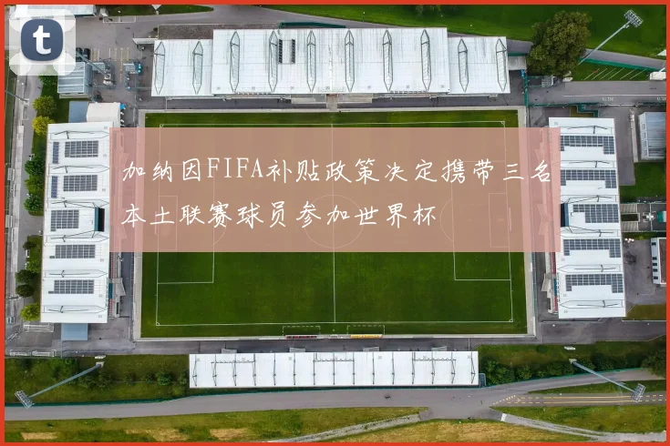 加纳因FIFA补贴政策决定携带三名本土联赛球员参加世界杯