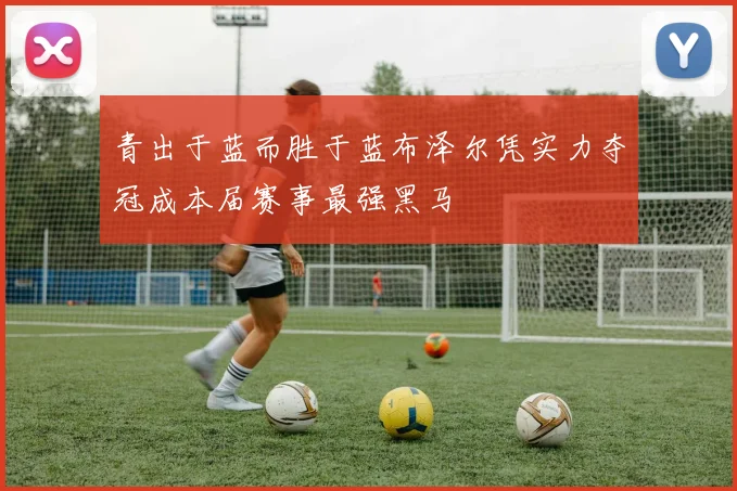 青出于蓝而胜于蓝布泽尔凭实力夺冠成本届赛事最强黑马